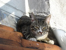 gal/2006-06 Dans Sac - Sur Toit/_thb_DSC05912.JPG
